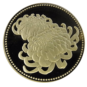 天皇陛下御在位20年記念500円黄銅貨表面
